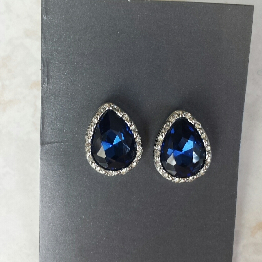 Boutique Blue Teardrop Earrings